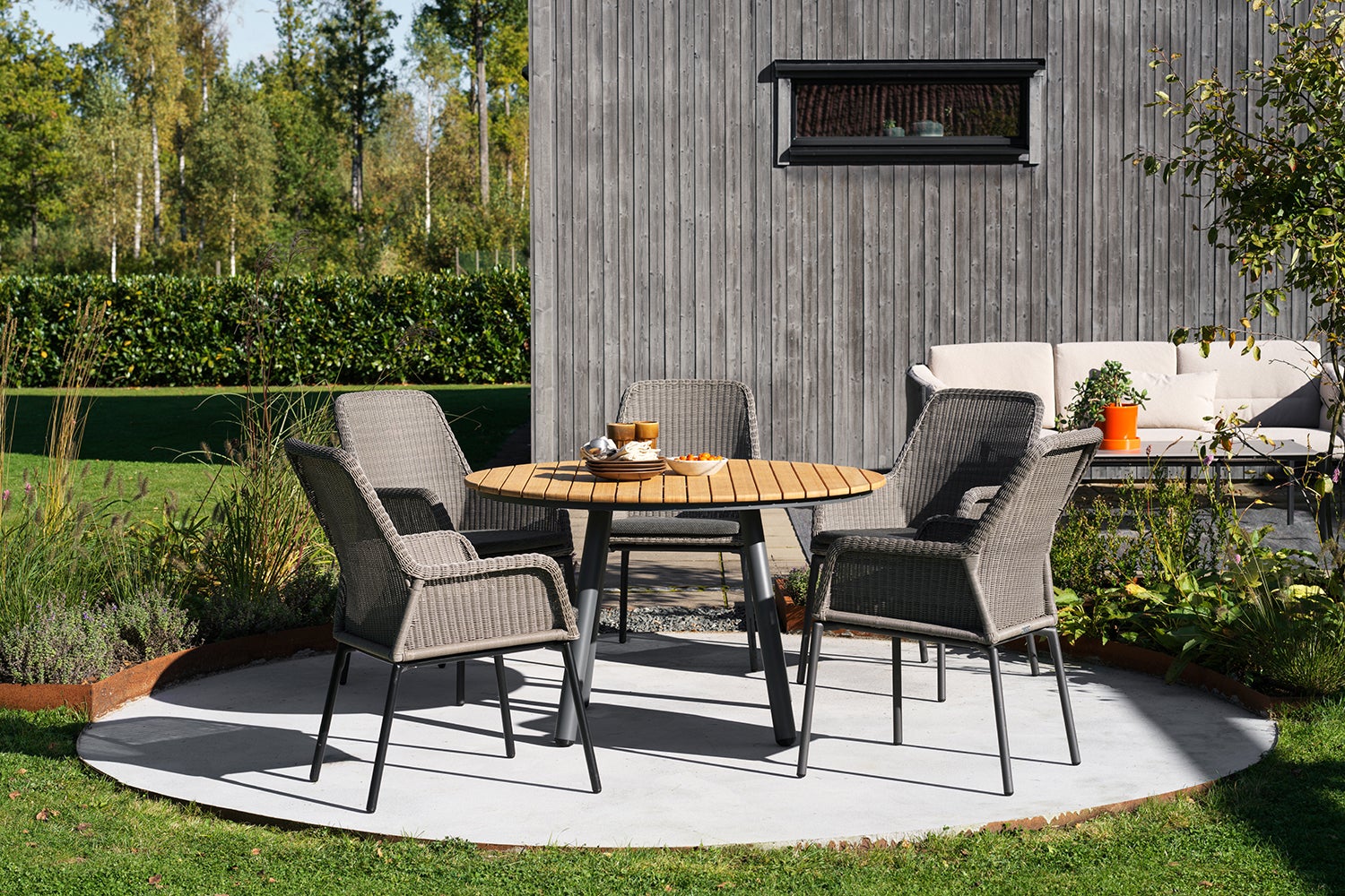 ハマースレイ ティーセット ポット シュガー クリーマー コーン